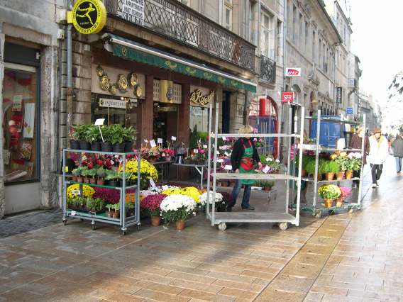  Fleuriste (grande rue)